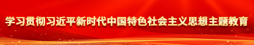 狂操美女嫩逼学习贯彻习近平新时代中国特色社会主义思想主题教育